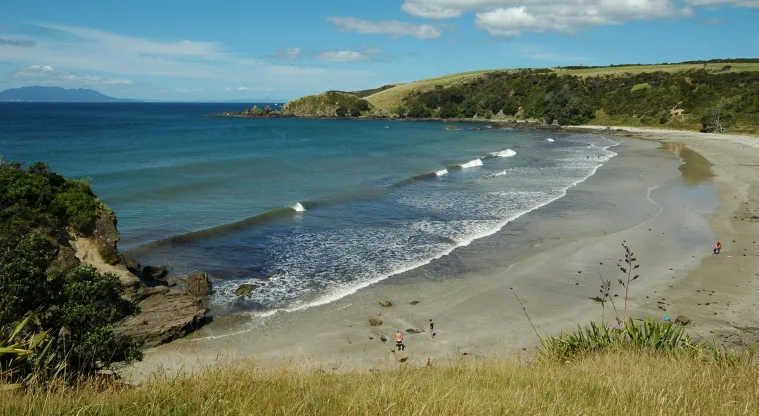 TAWHARANUI (Regional Park) - TAKATU ROAD UPGRADE