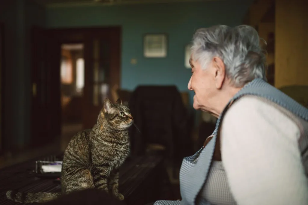 New Brunswick’s ban on pets in subsidized housing