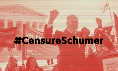 We Will Not Be Threatened: #CensureSchumer