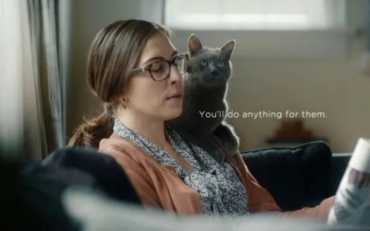 Remove/BAN the Sheba Cat Food Commercial with injured kid