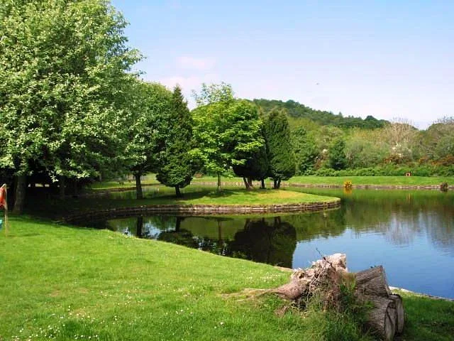 Petition to save Whin Park