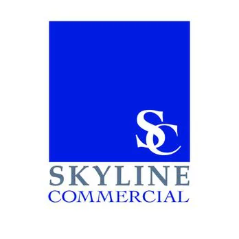 Skyline Properties HOA Accounting Audit