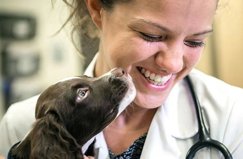 Petition to implement the Animal Welfare Act in all animal Shelters