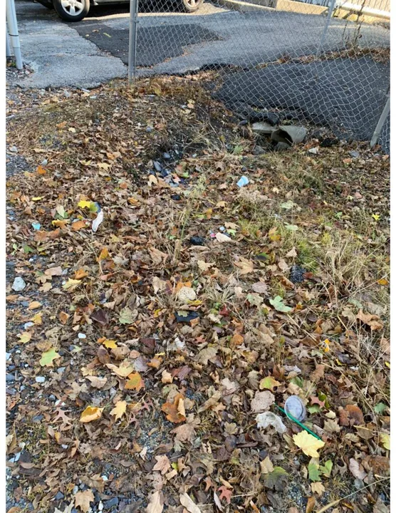 Reduce Campus Littering