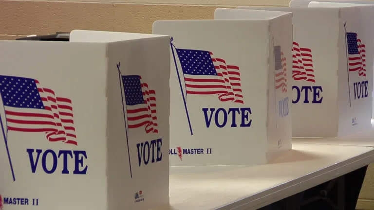 Urge Barack Obama to declare the 2016 elections ILLEGITIMATE