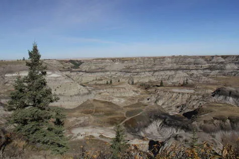 If Rocks Could Talk... More Geology Class Options!