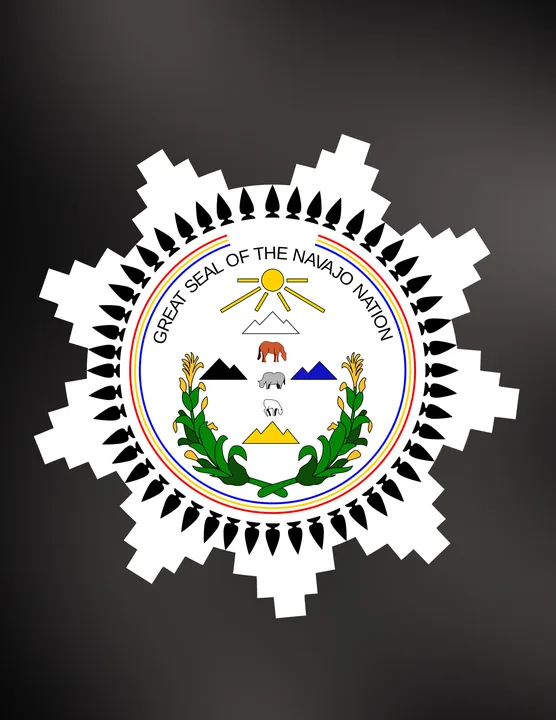 Petition for the Future of Navajo Nation Scholarships