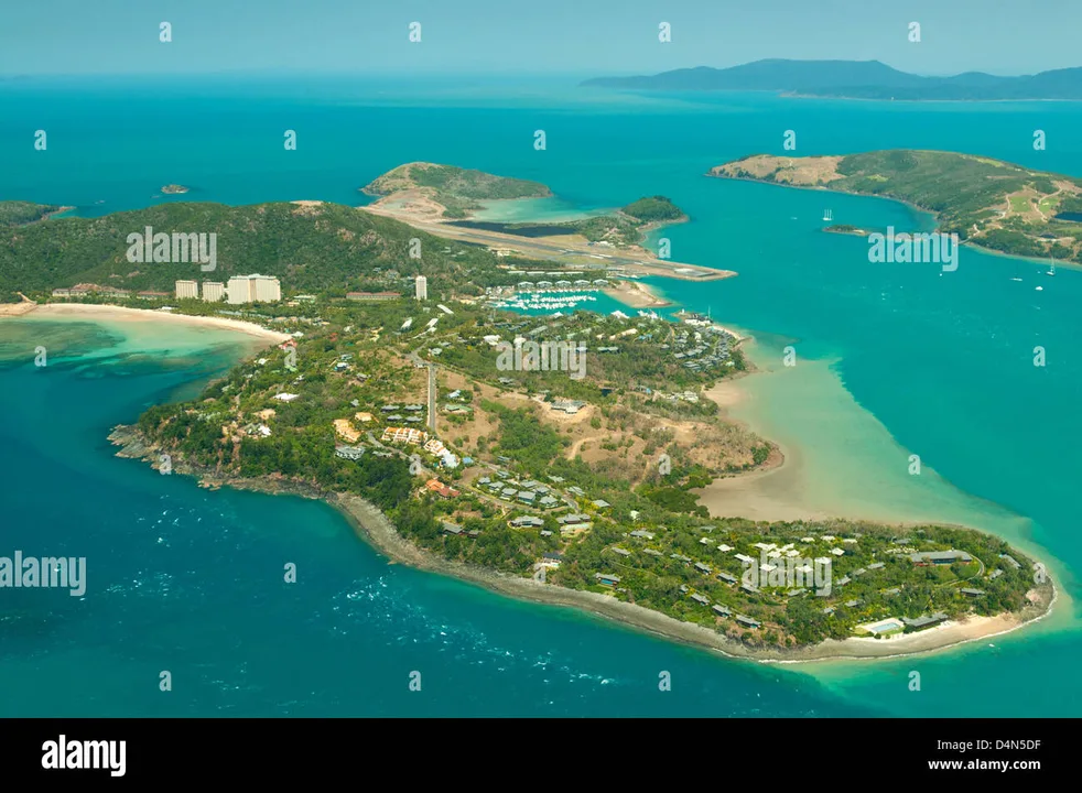 Make Lu-Ann apply for Hamilton Island caretaker
