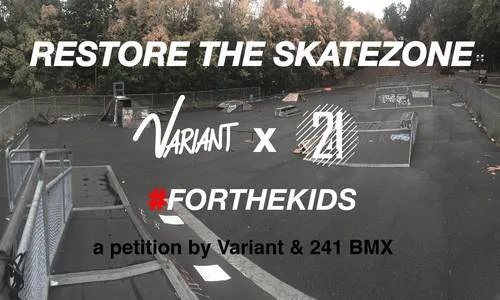 Restore The Skatezone