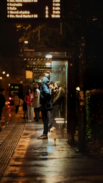 Would you like a night bus scheme?