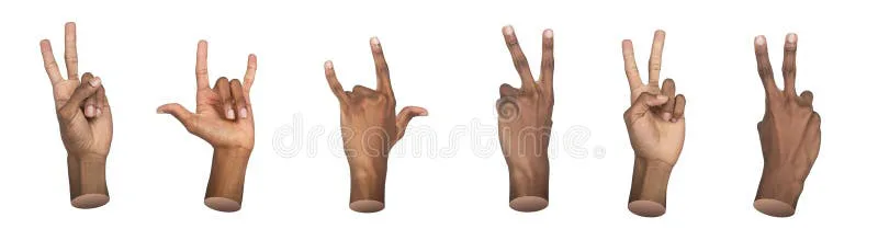Start ASL As A Language Class!!