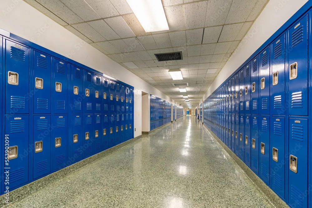 SAFE SCHOOLS, SAVE THE FUTURE