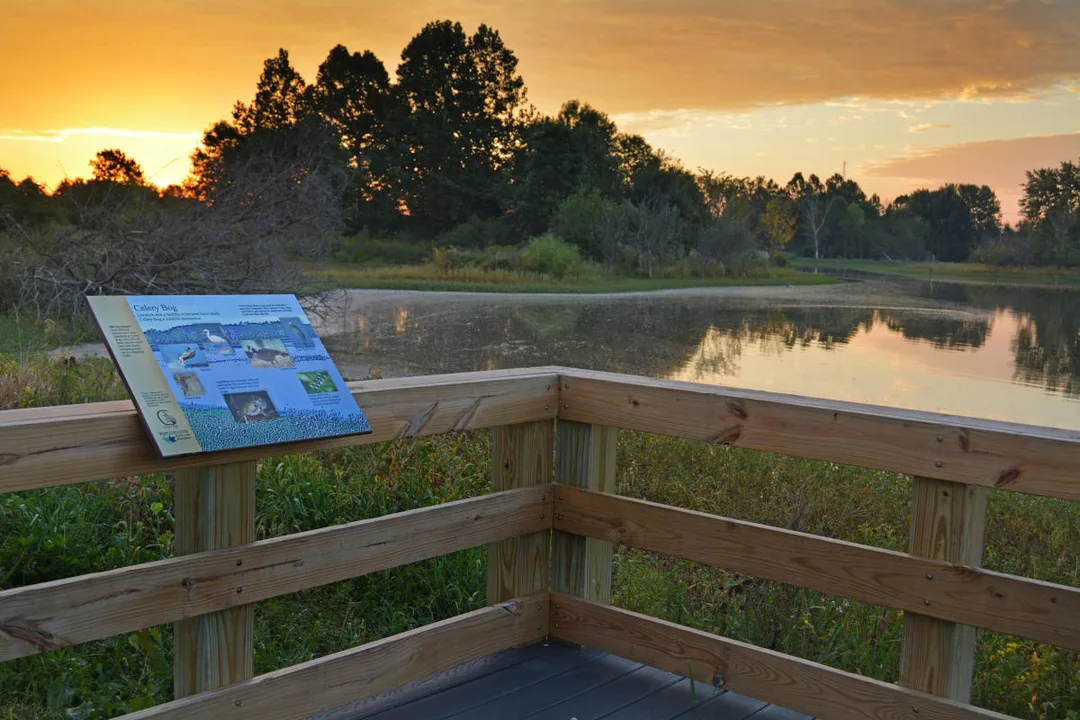 Celery Bog Good Neighbor Petition
