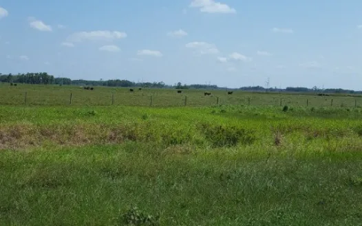 Oppose Harmony Ranch Community Development District