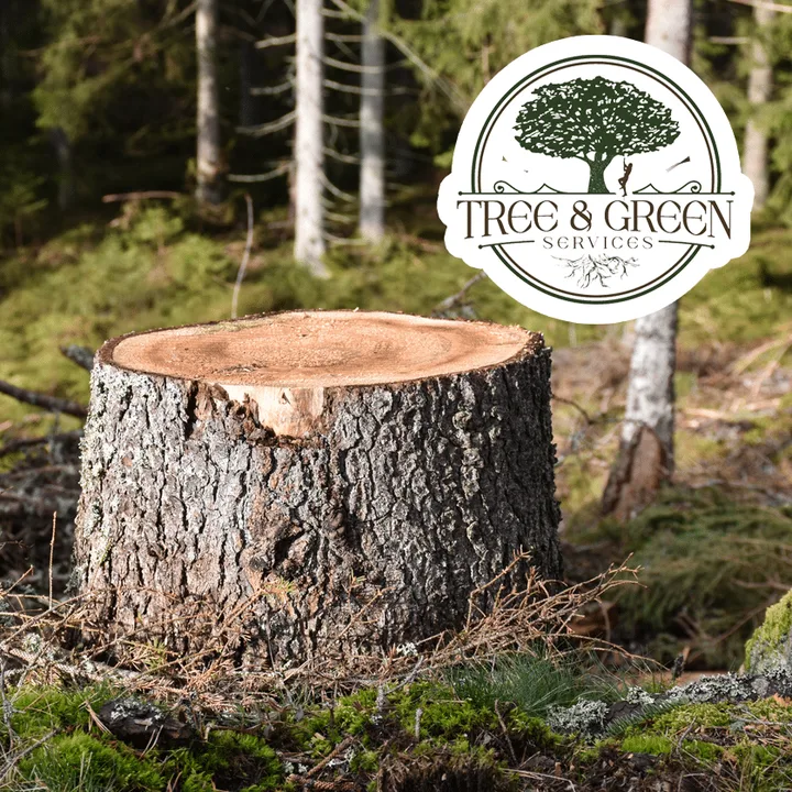 Stop cutting down trees in Iowa