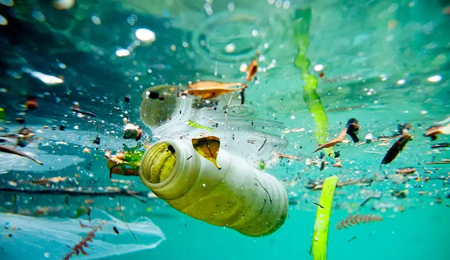 Water Pollution