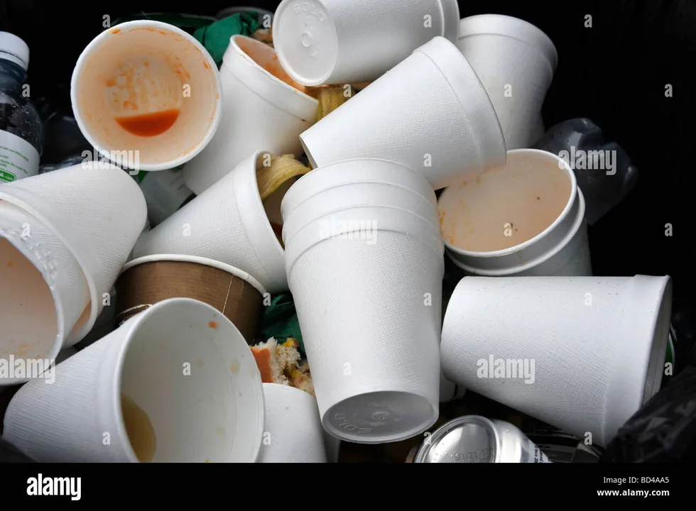 HELP BAN STYROFOAM IN NEW YORK