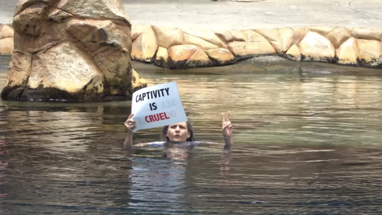 Say NO! to a Dolphinarium in Aruba