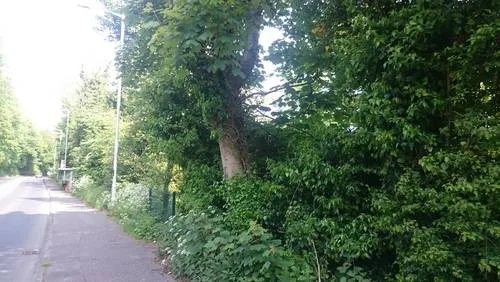 Objection to proposed Development at Pineview Park/Antrim Road