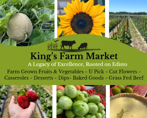 Zoning Fairness for Farmers-Support King's Farm Market