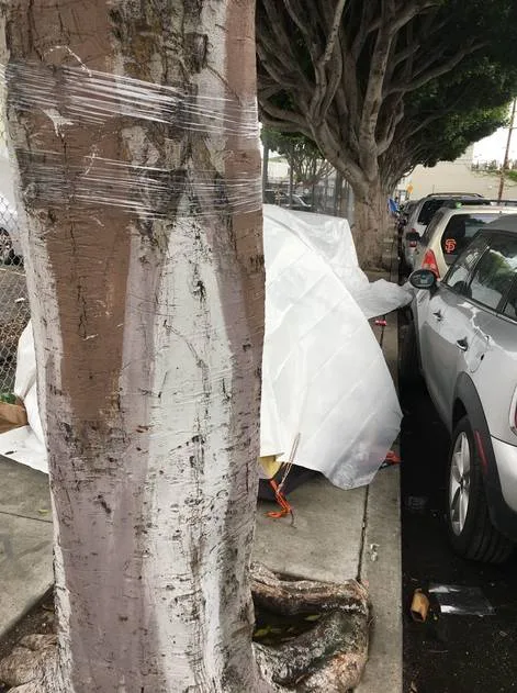 Passing of 200 foot Yellow Zone along Treat Avenue