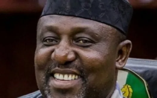 Igbos Not Nigeria's Problem Rochas Is