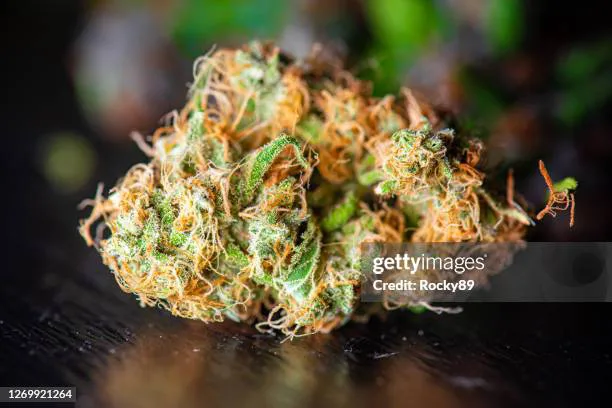 Marijuana Should Be Legalised