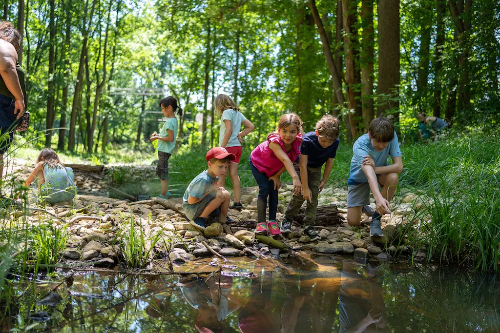 Save the Massachusetts Junior Conservation Camp