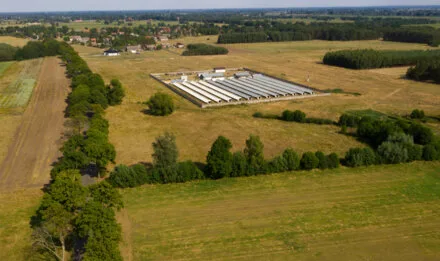 Petition of Abeyance (suspension) of the proposal for a mink farm of Chimpan Farms Limited (Robert Chipman), 2497 Hwy 201, Tupperville, NS.