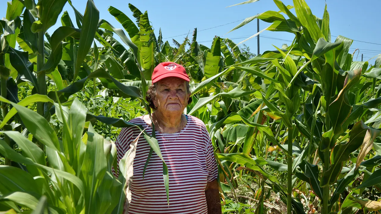 Support for Farmer Jones