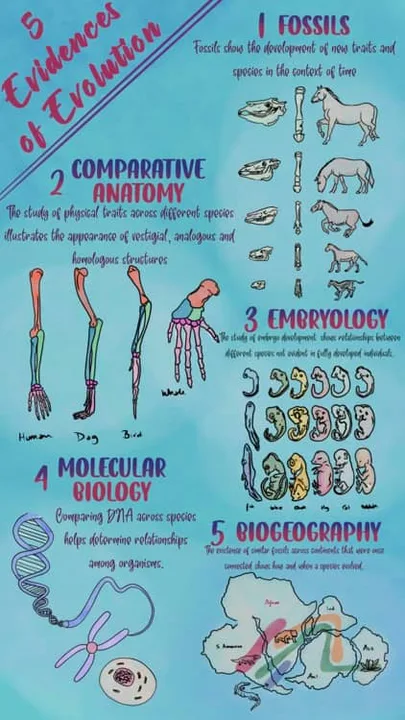EVOLUTION IS A FACT...not a theory!
