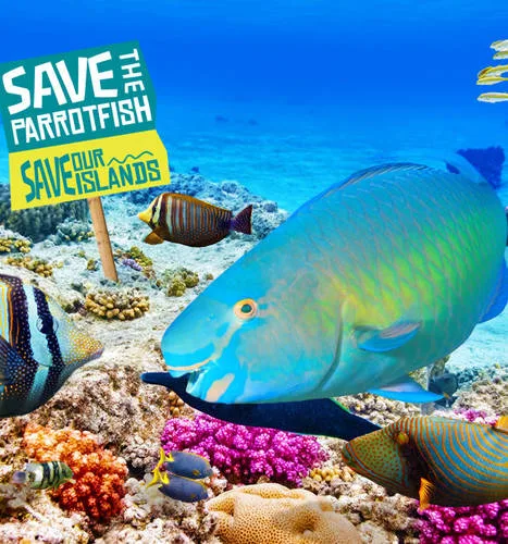 Save The Parrotfish, Save Our Islands