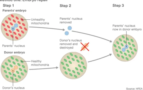 Yes Three Person In Vitro Fertilization