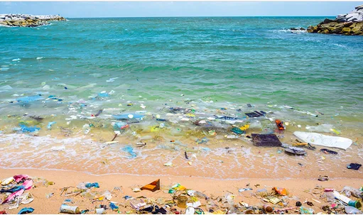 Reduce Plastic Waste in Our Community