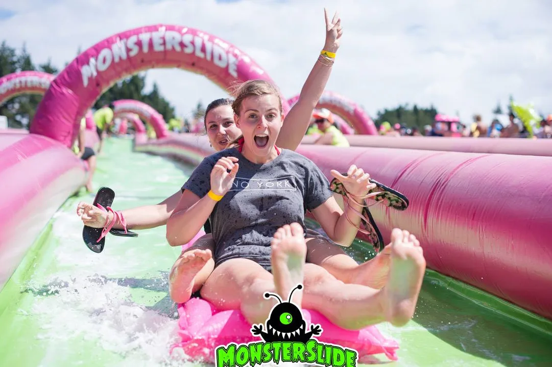 Monster Slide on Arthur St in spring time?