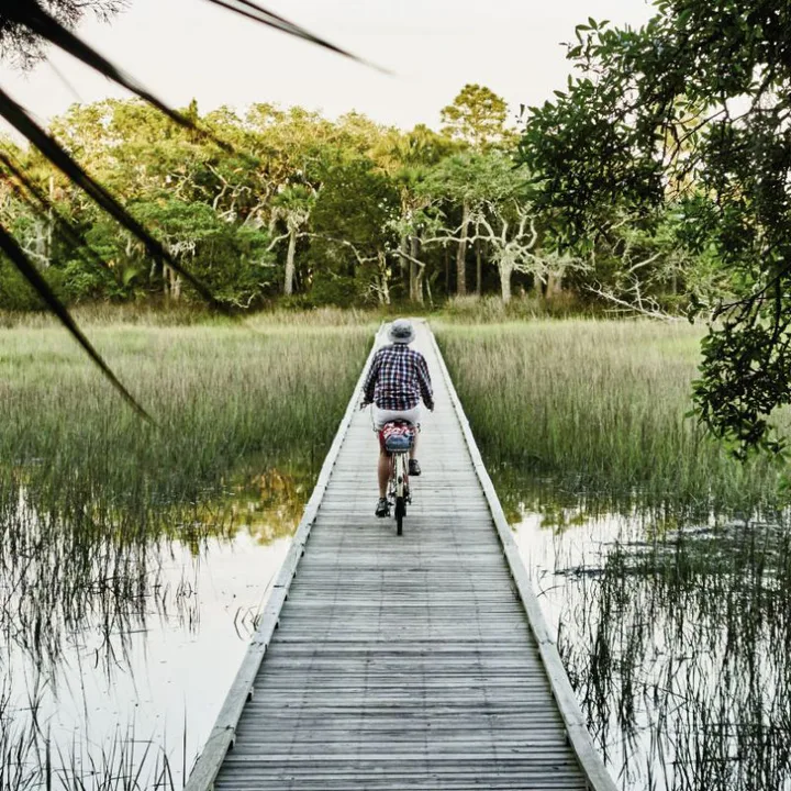 The Sea Islands Greenway Petition