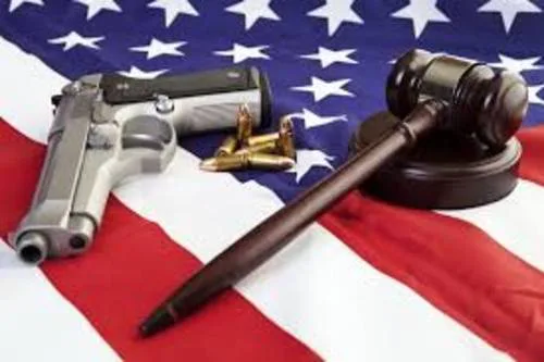 Establish more moderate gun control across the United States