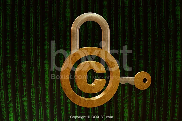 To protect or to serve - another view on the DRM fiasco