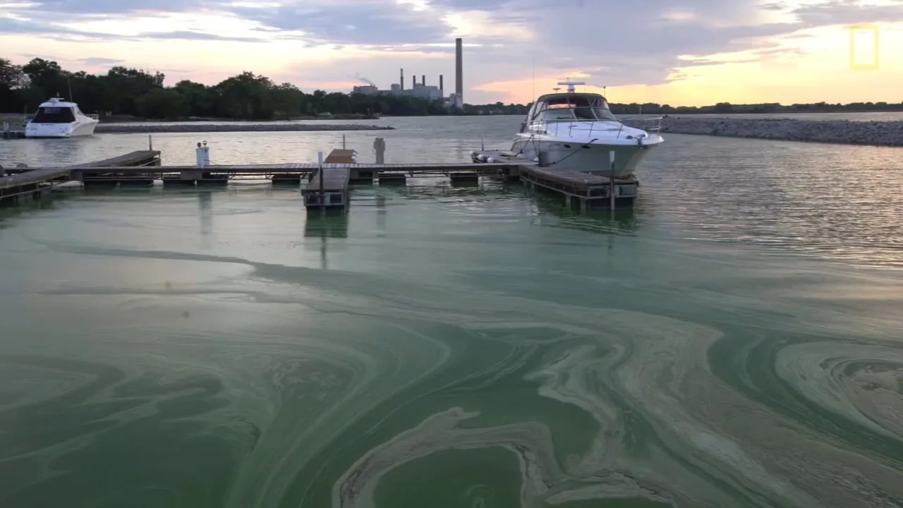 Stop BP dumping pollution in Lake Michigan