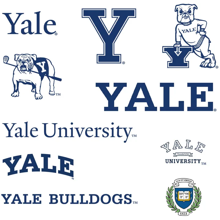 Petition to President Salovey on Yale's Connection to Mass Surveillance in Xinjiang