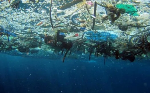 Ban Plastic Grocery Bags in Omaha