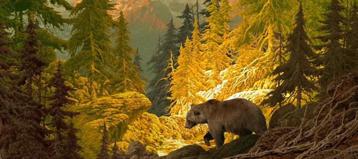 Protect and Preserve the Beauty of National Parks