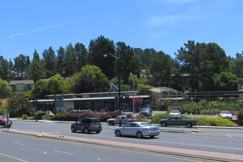 NO SERVICE STATION & LIQUOR STORE ON ADACHI NURSERY