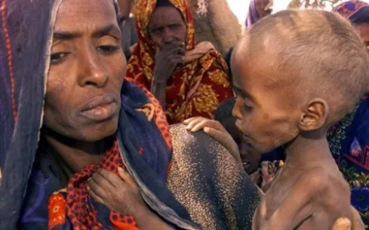 Free basic healthcare for unprivileged 