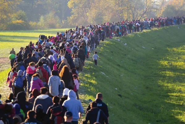 Refugees In Need