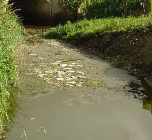Pest-Aside: Fighting Water Contamination