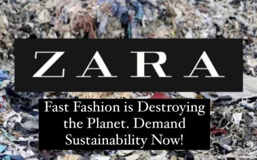 Zara's Fast Fashion is Destroying the Planet. Demand Sustainability Now.