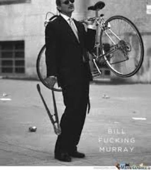 Pirate Party 2016 wants Bill Murray to accept an award!