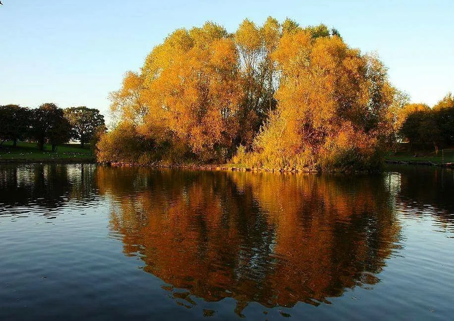 Reintroduce Park Wardens to Sandall Park and Grove Park