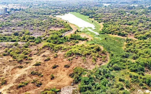 Protect Kancha Gachibowli: Declare It a National Park to Save Hyderabad's Green Lung